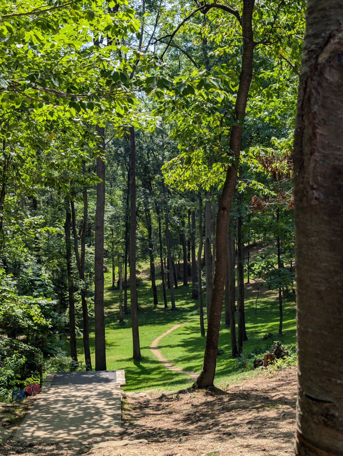 Hole 3 (lost island layout)