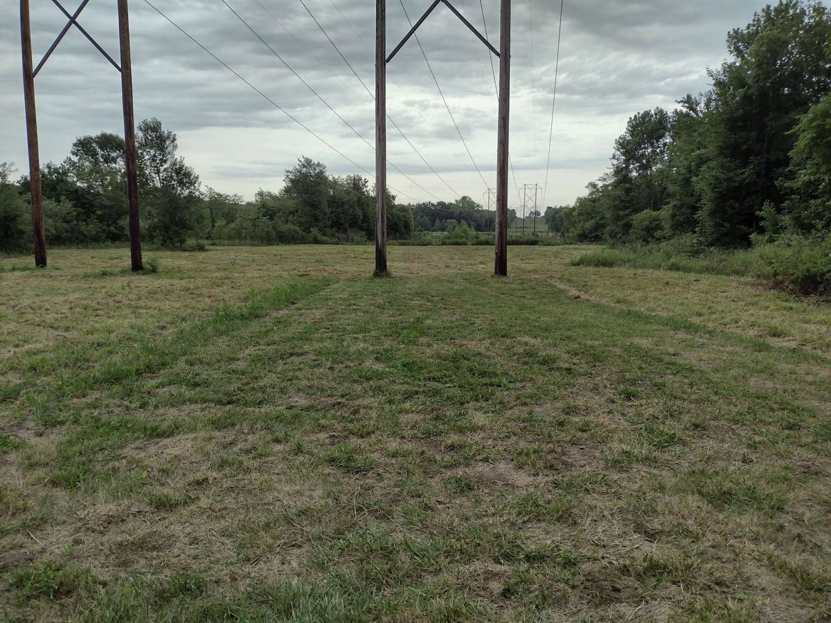 Hole #16 teeshot, double Mando between the power poles