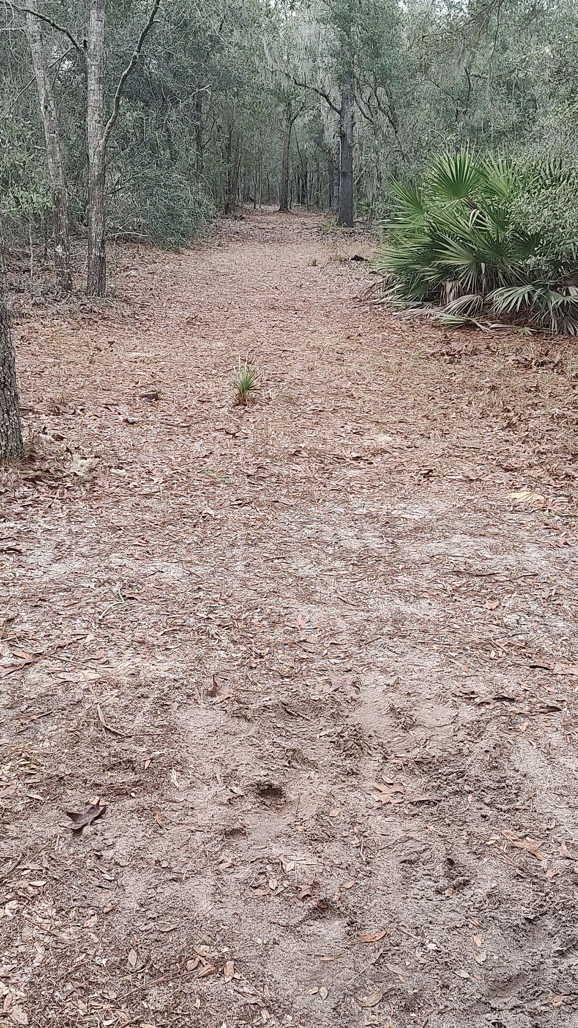 Hole 8