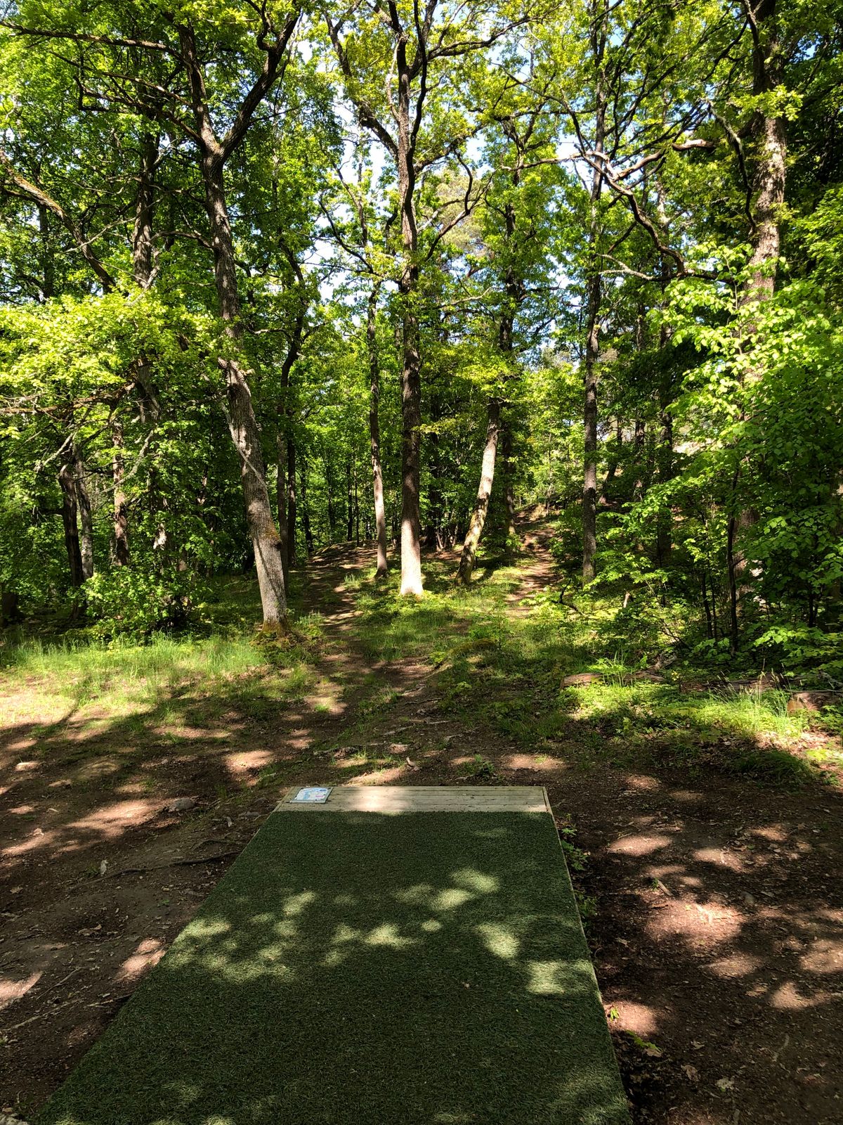 16 Tee