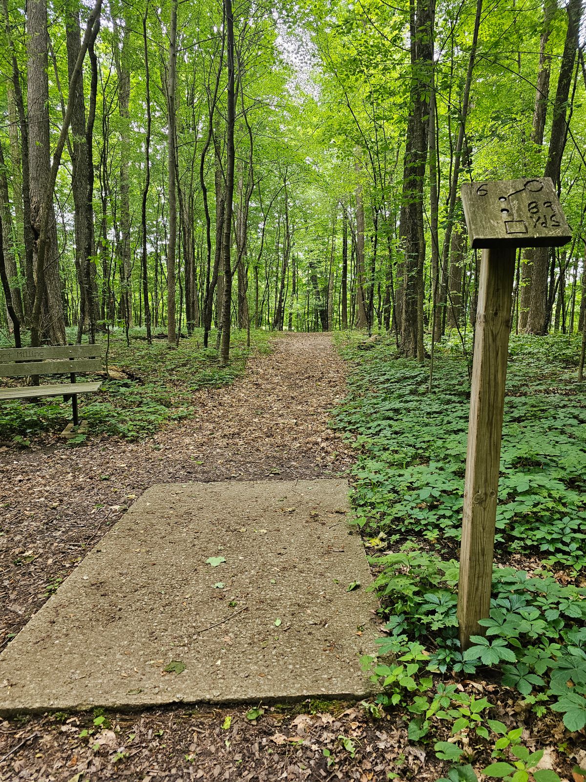 Hole 6