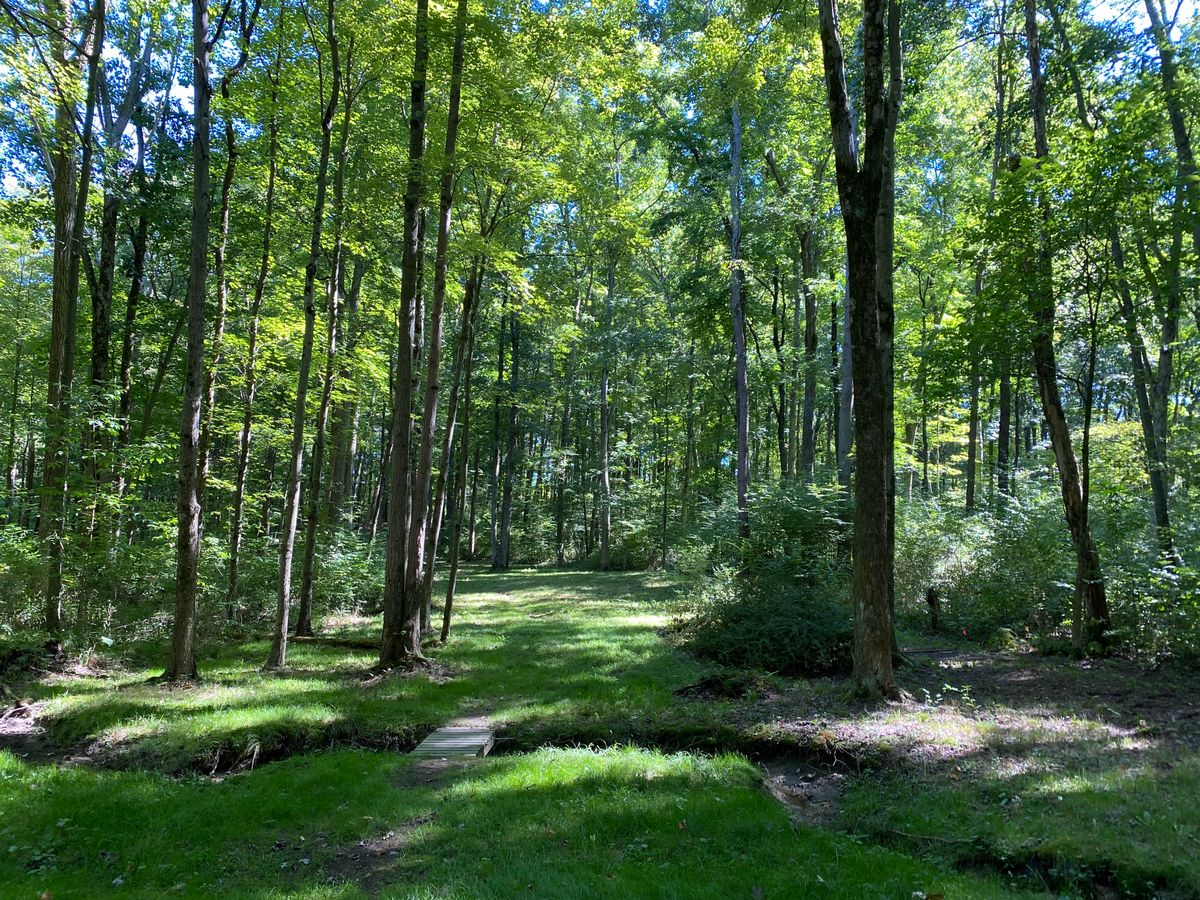 Hole 6 fairway