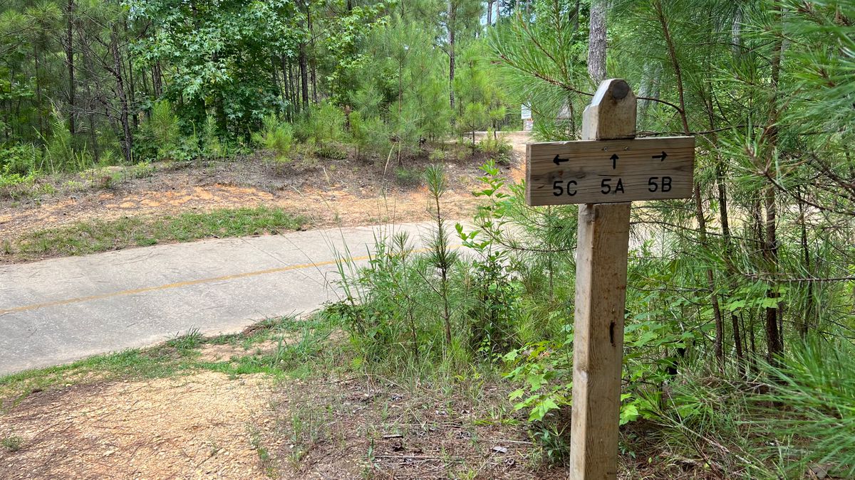 Hole 5