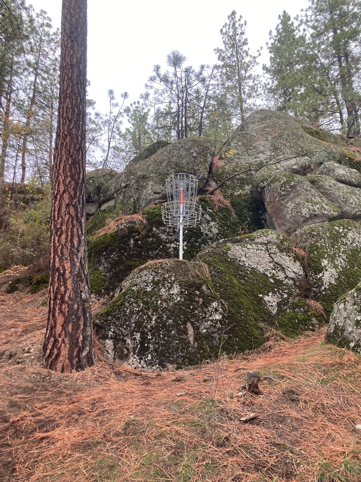 Hole 19 green