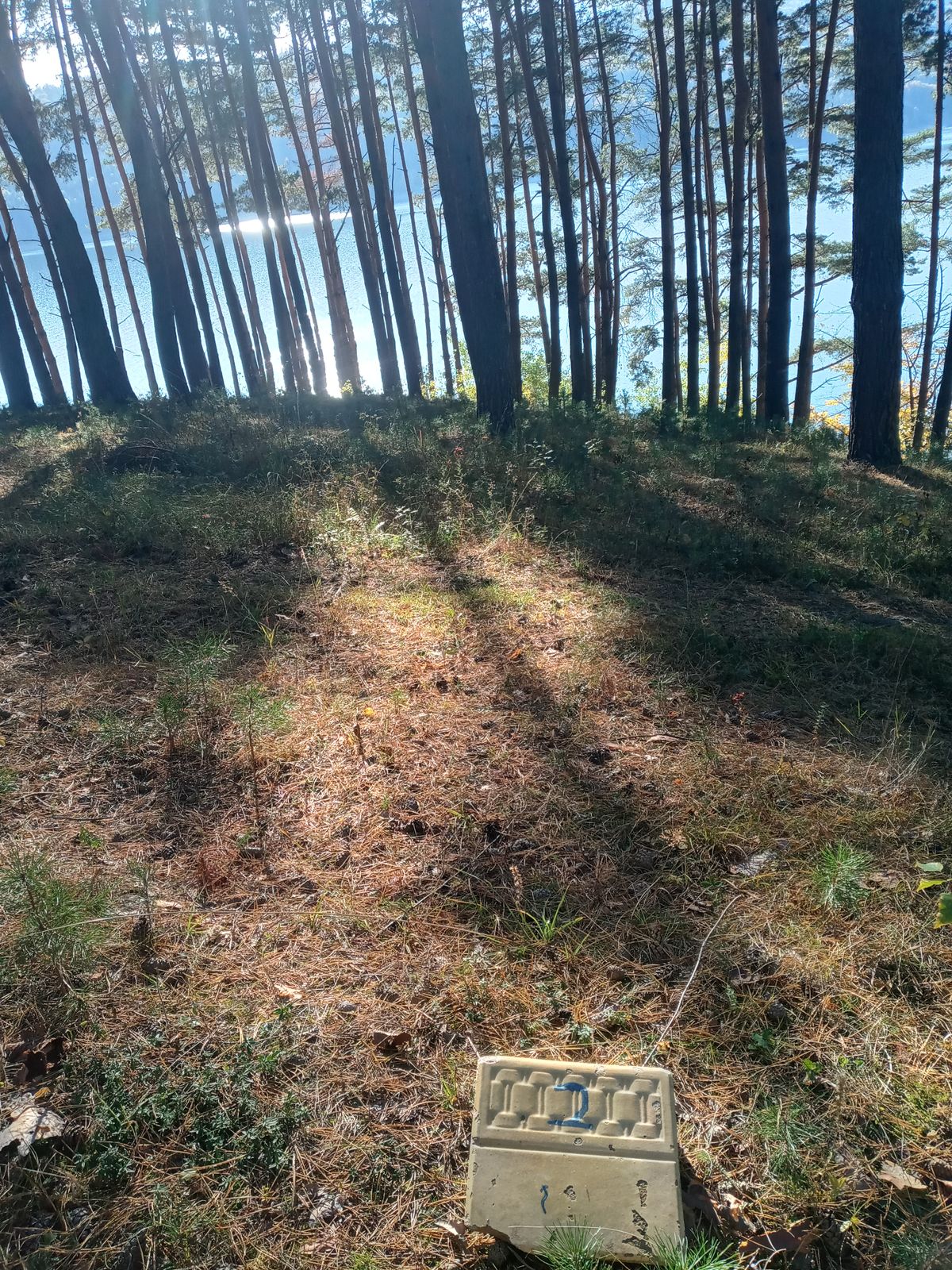 Hole 2 Tee