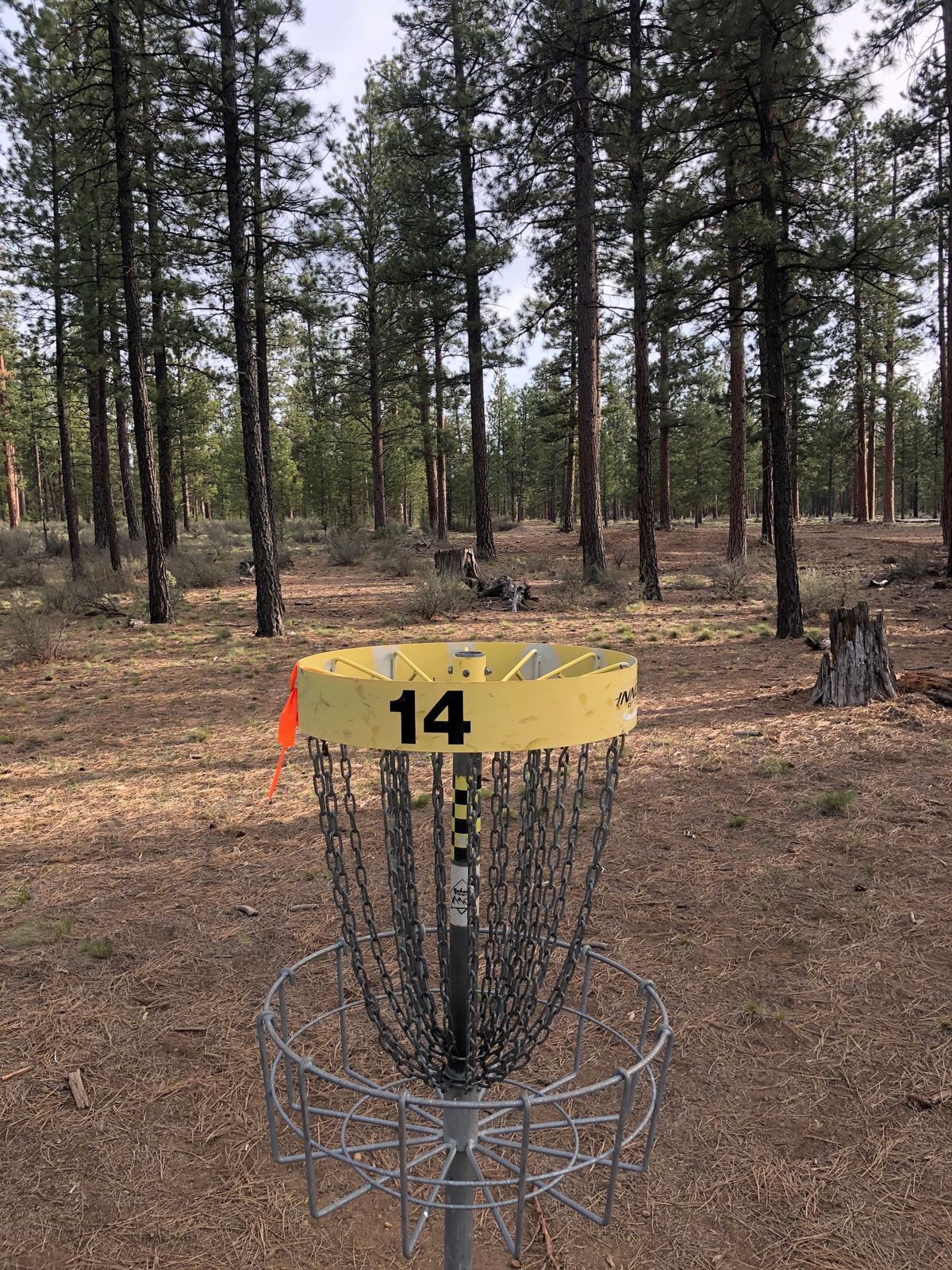 14 basket to tee