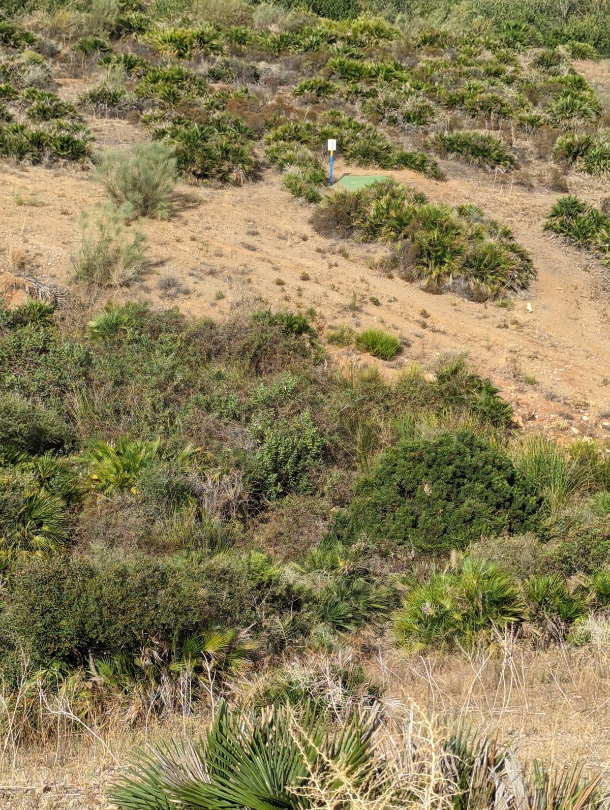 Don't throw a disc in there or it's lost.