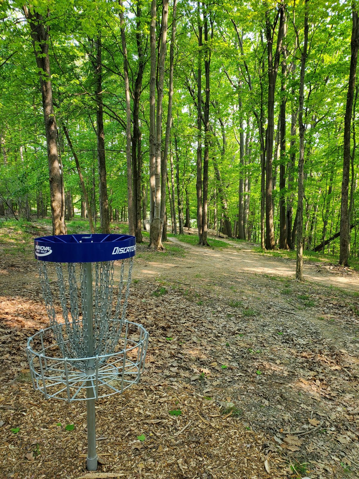 Basket to fairway.