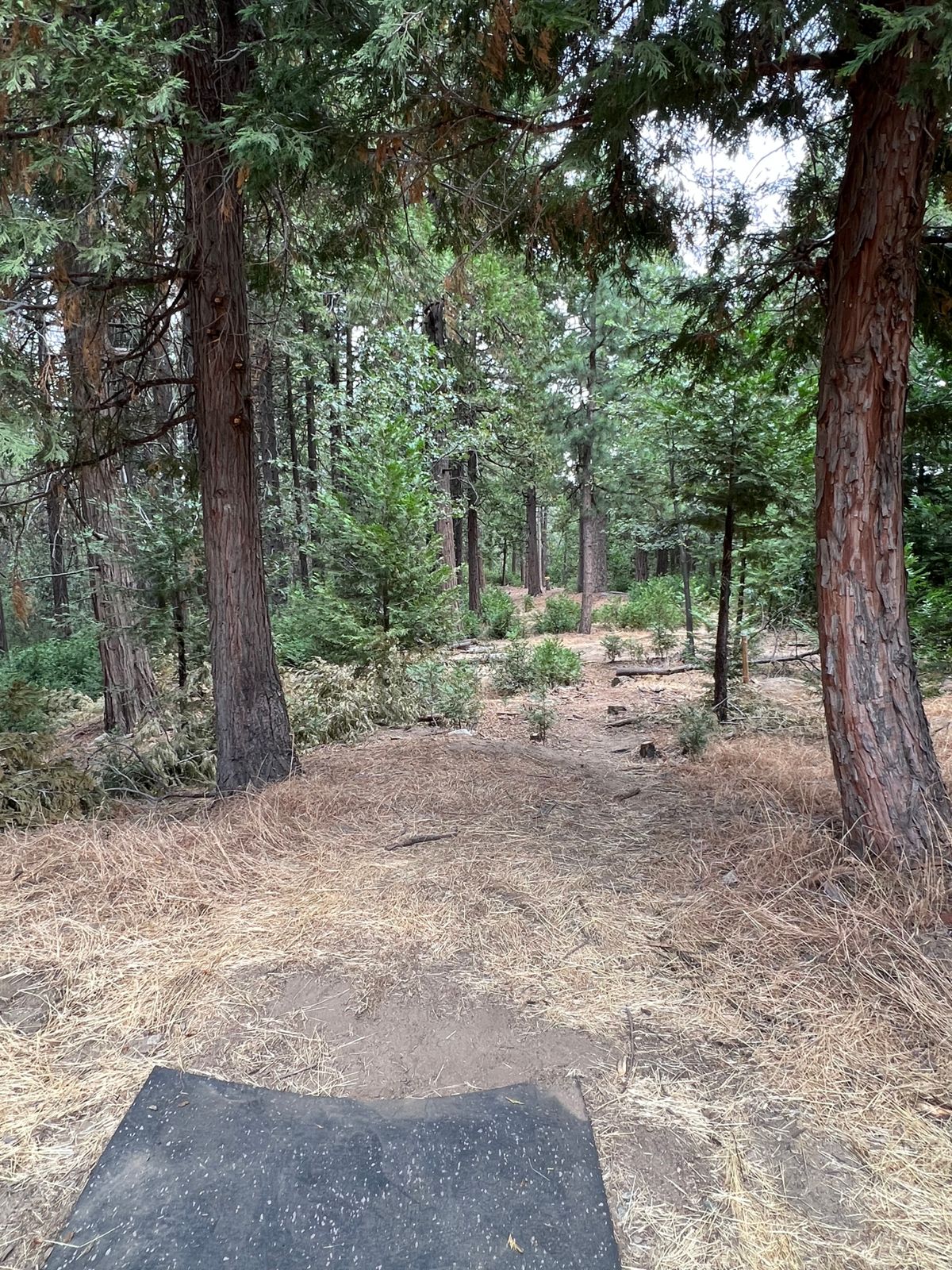 Hole 2 is a fun “tunnel” shot.
