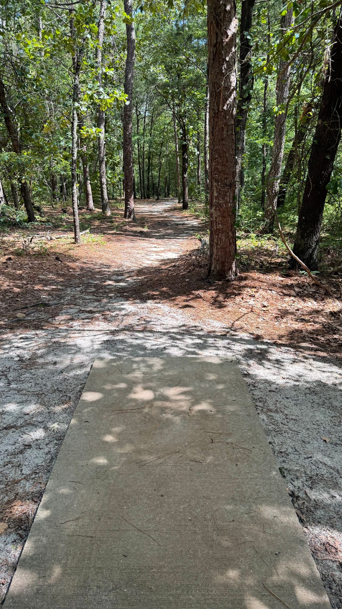 Hole 10 Tee Pad