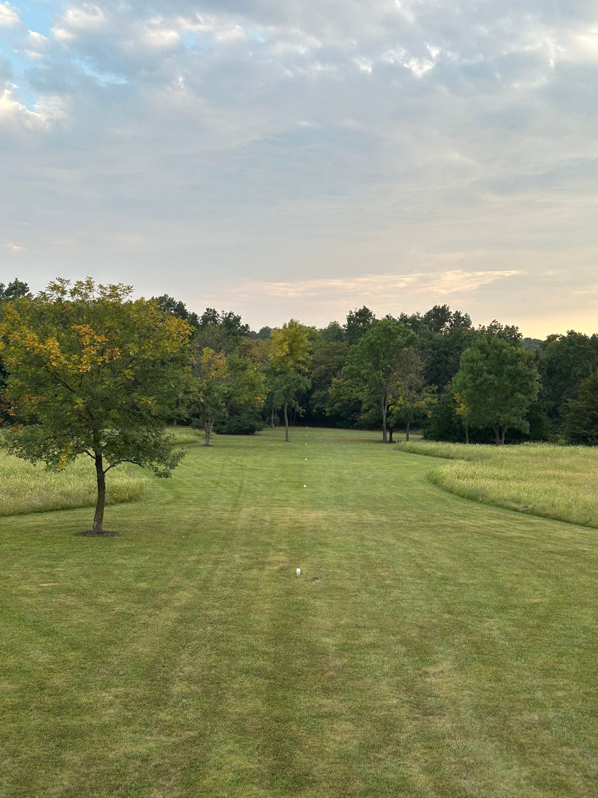 Hole #2 Best Fairway in Disc Golf