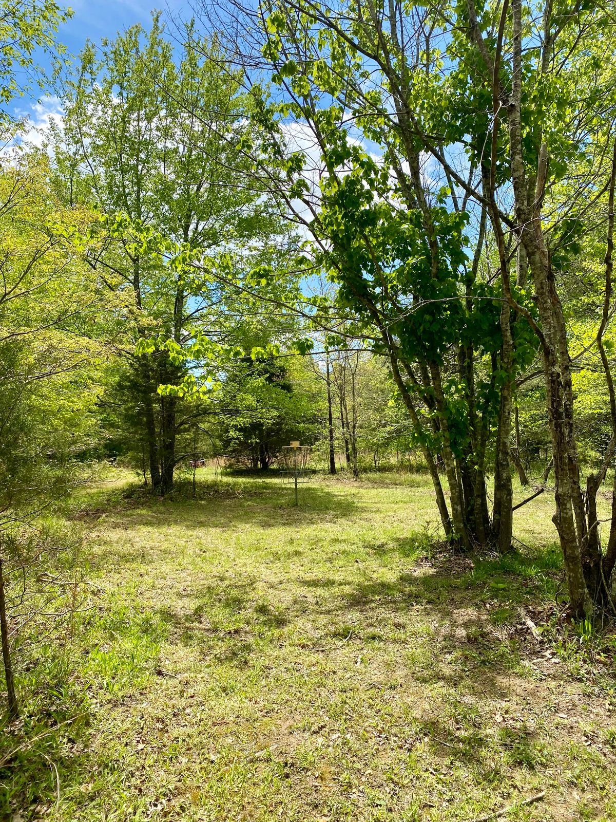 Hole 12