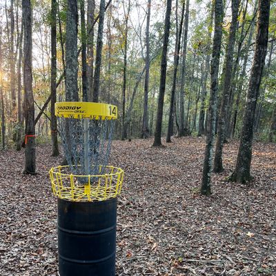 Hole 14 basket