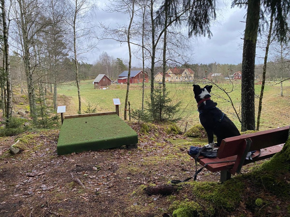 Tee 8 och 12