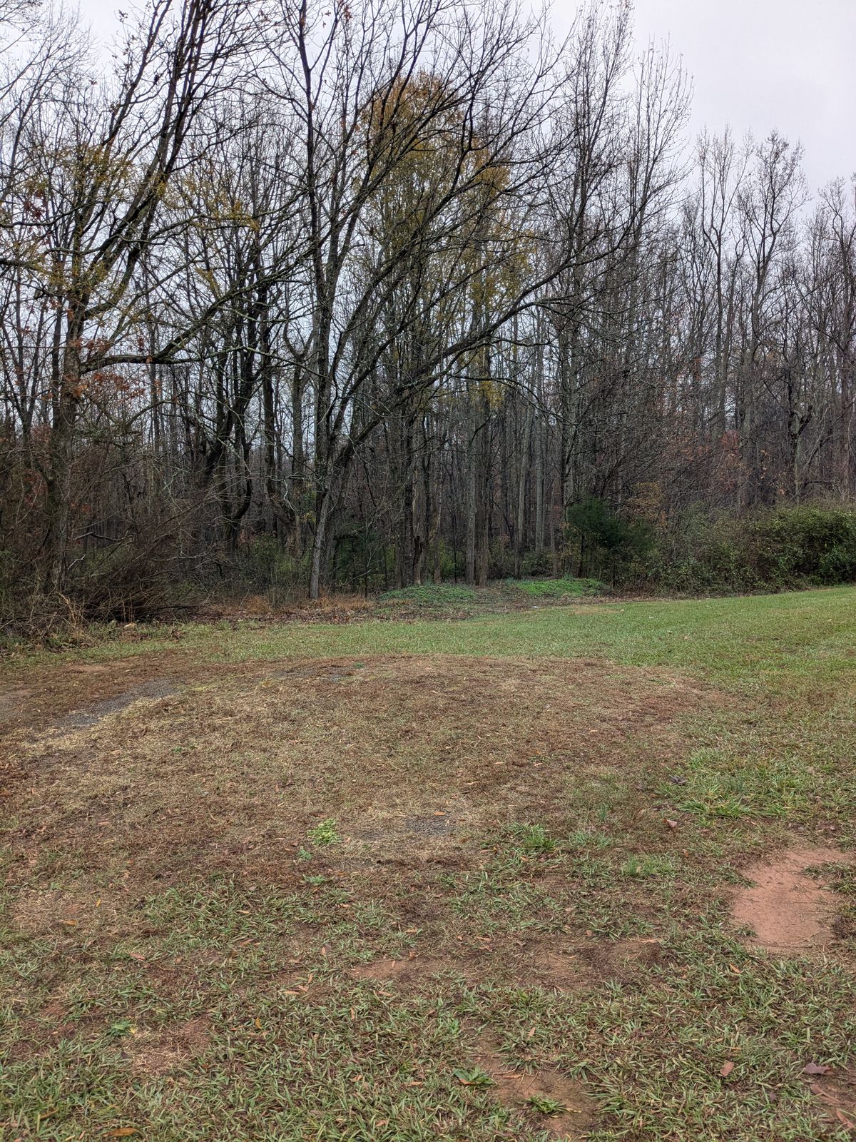 Hole 8 teepad. Hole doglegs right in the woods