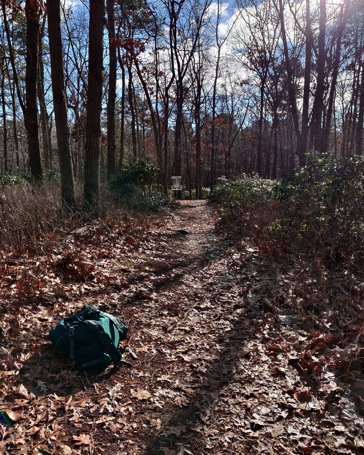 Looking back to 12 basket