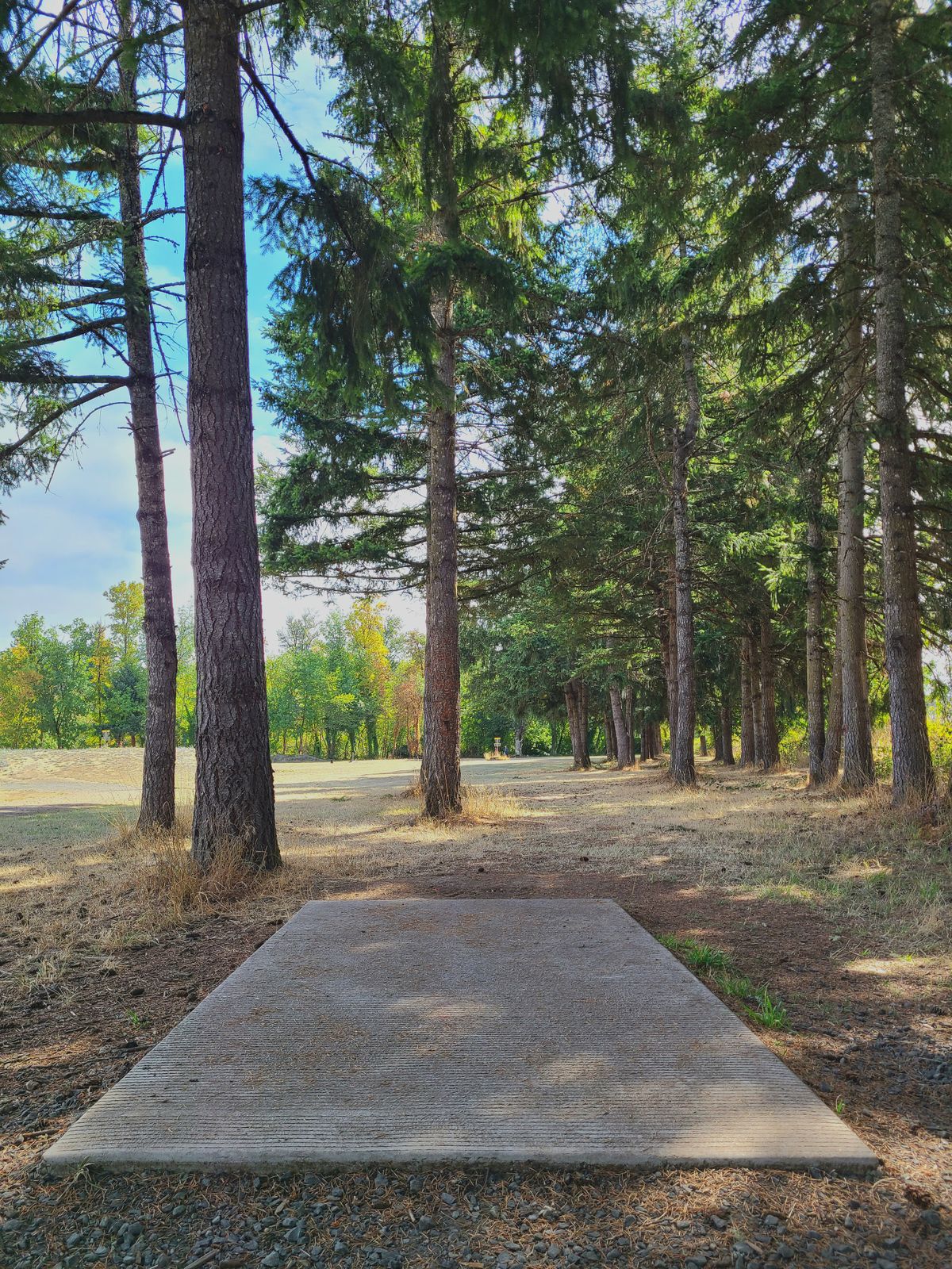 Hole 3 Teepad