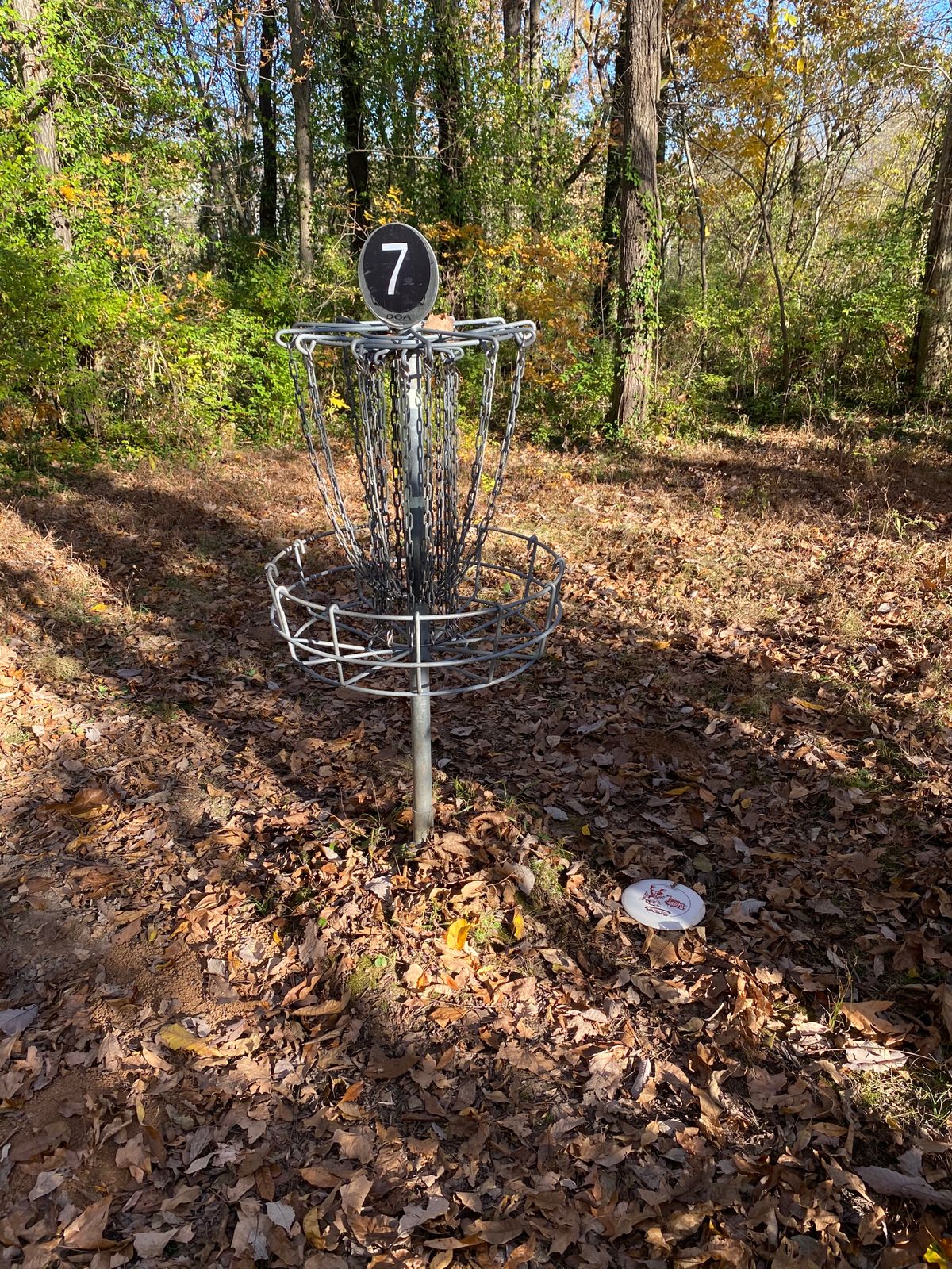 The green for hole 7 is a generous open space on what is otherwise a hole that seems to have more trees than airspace.