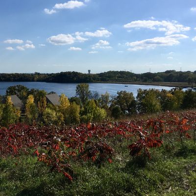 View of lake from 1
