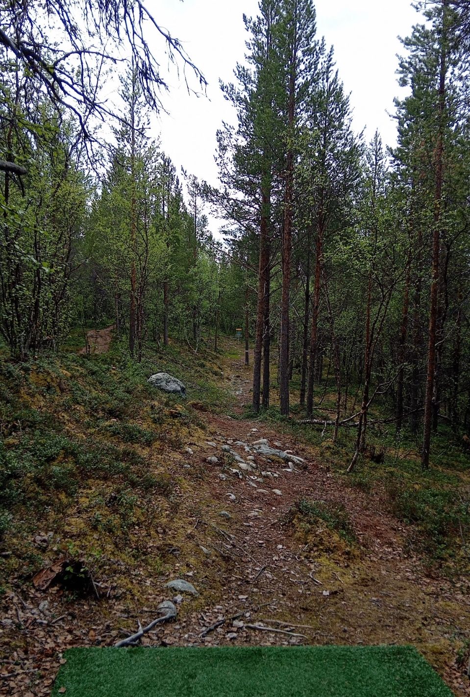 Hole 3|#3