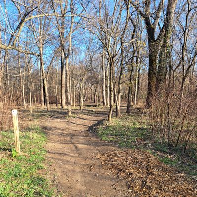 Hole 1 short tee pad
