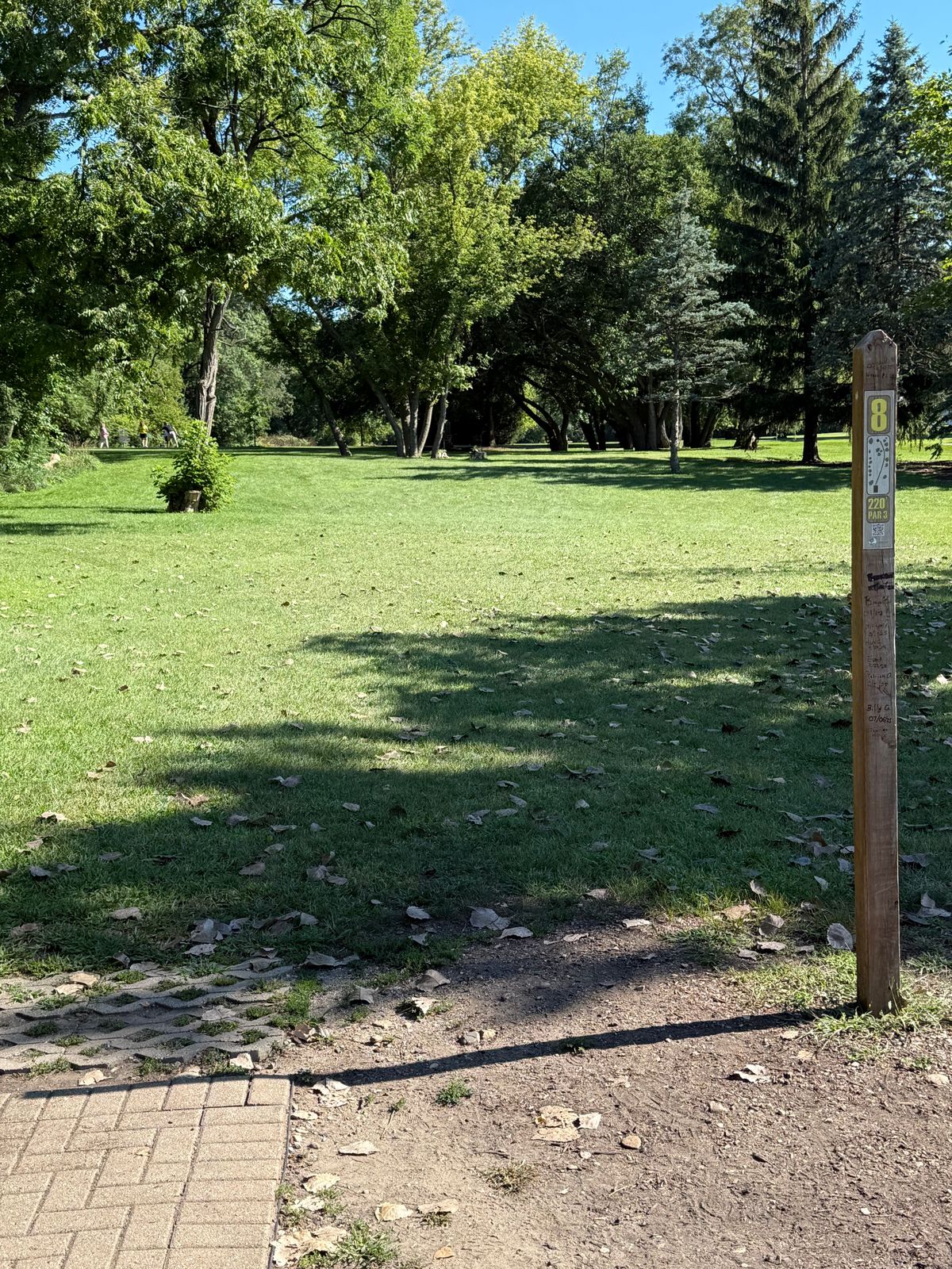 Tee 8