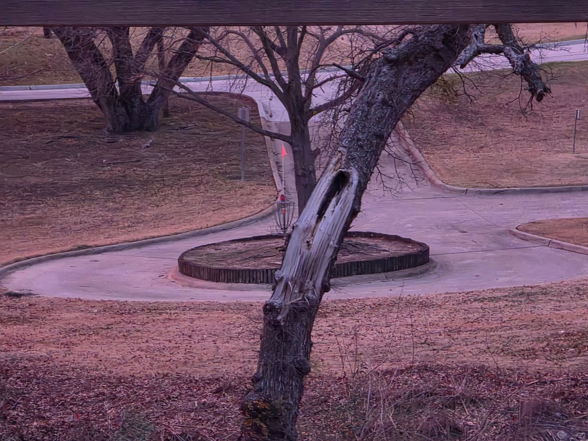 Hole 14's green zoomed in from teepad