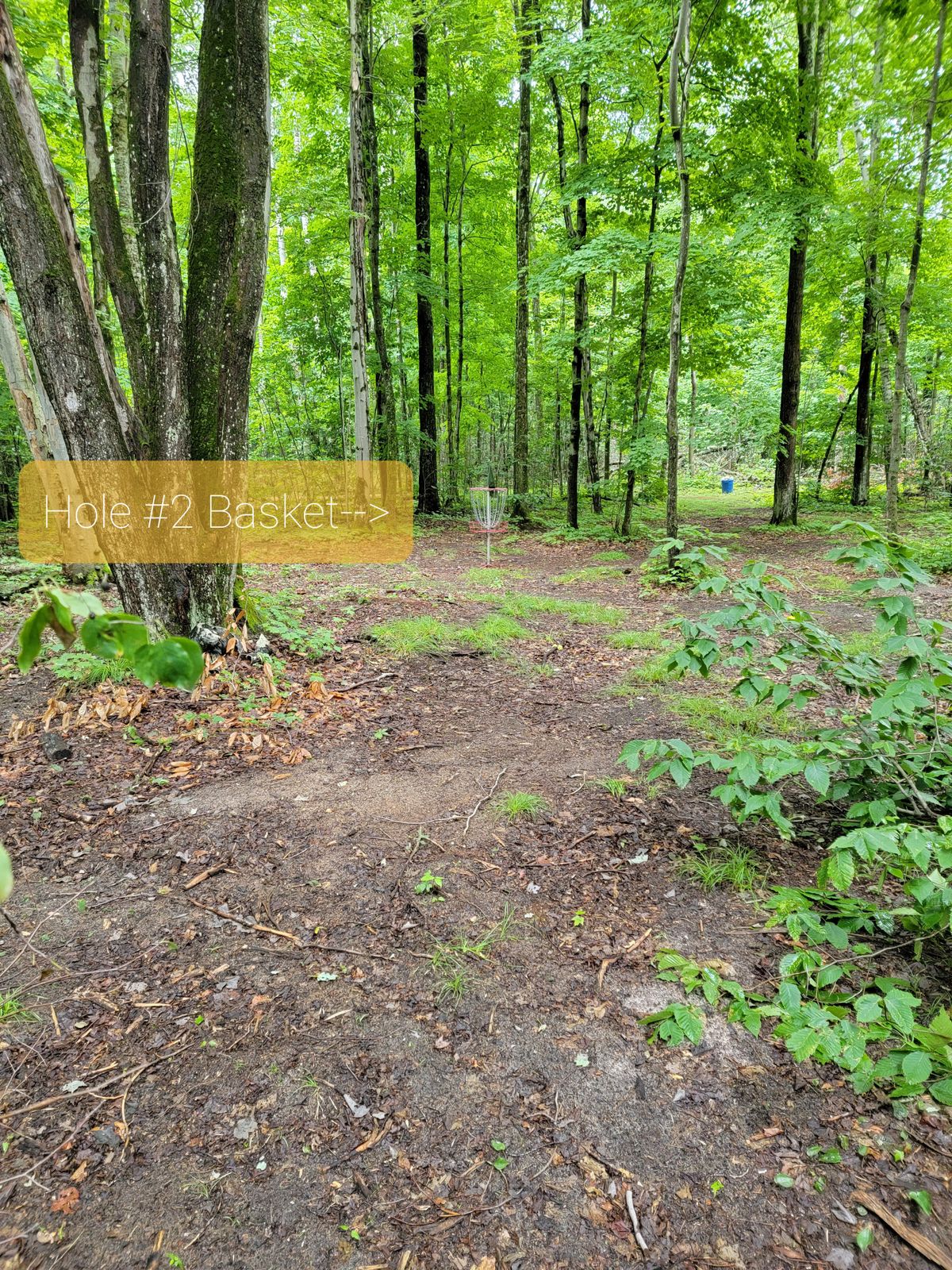 Hole 2 basket
