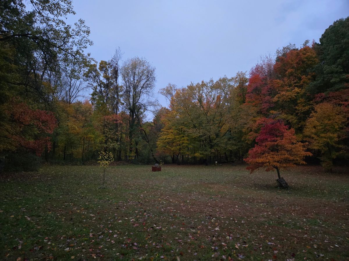 Hole 13 Castle basket