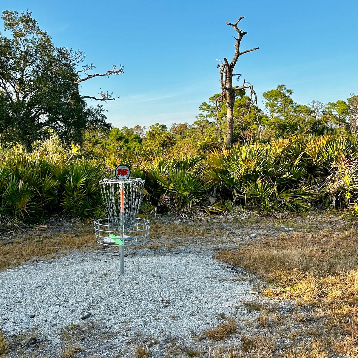 Current basket location 10/2025