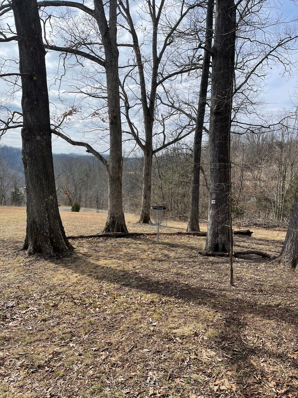 Hole 5 (Green)