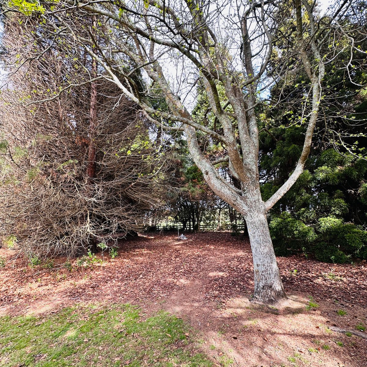 New Layout 2023 hole 2