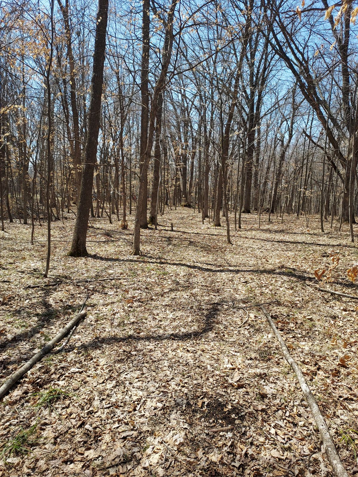 Hole 16