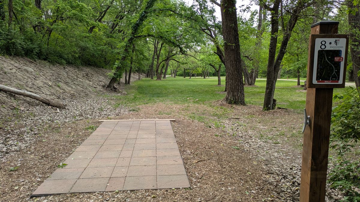 Tee #8