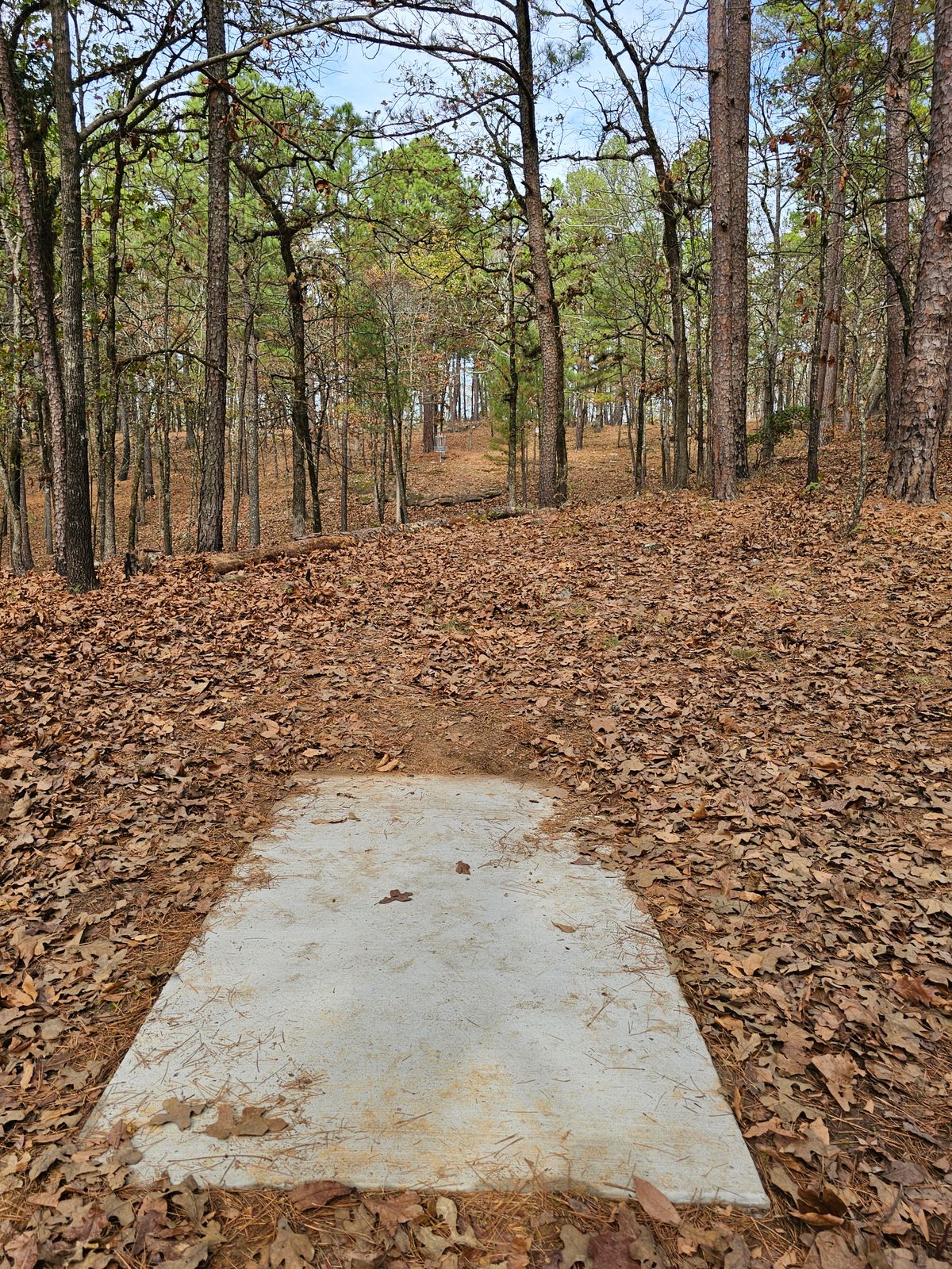 Hole 7 Short
