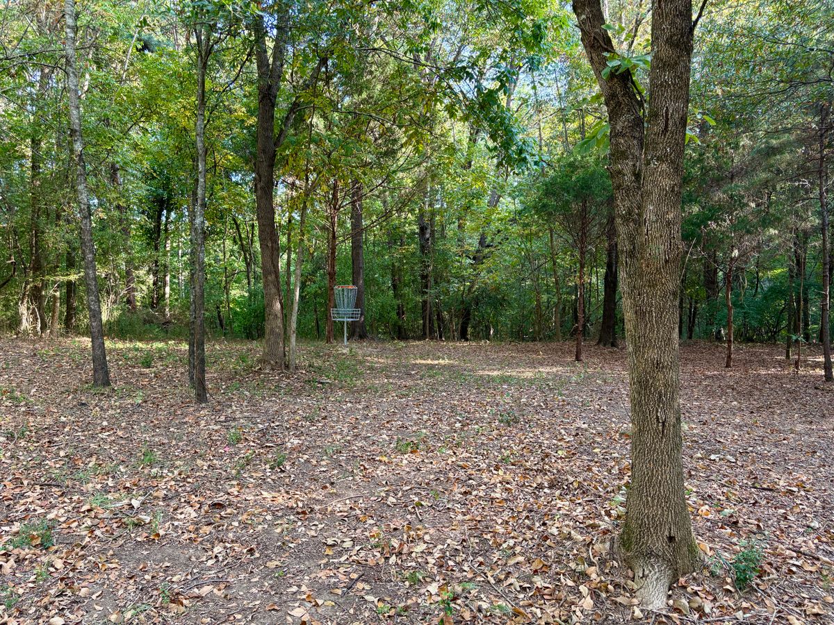 Hole 1 approach