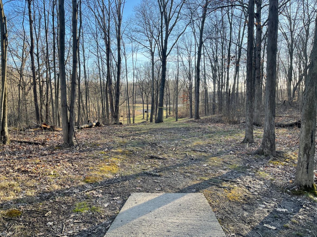 Hole 8 Tee