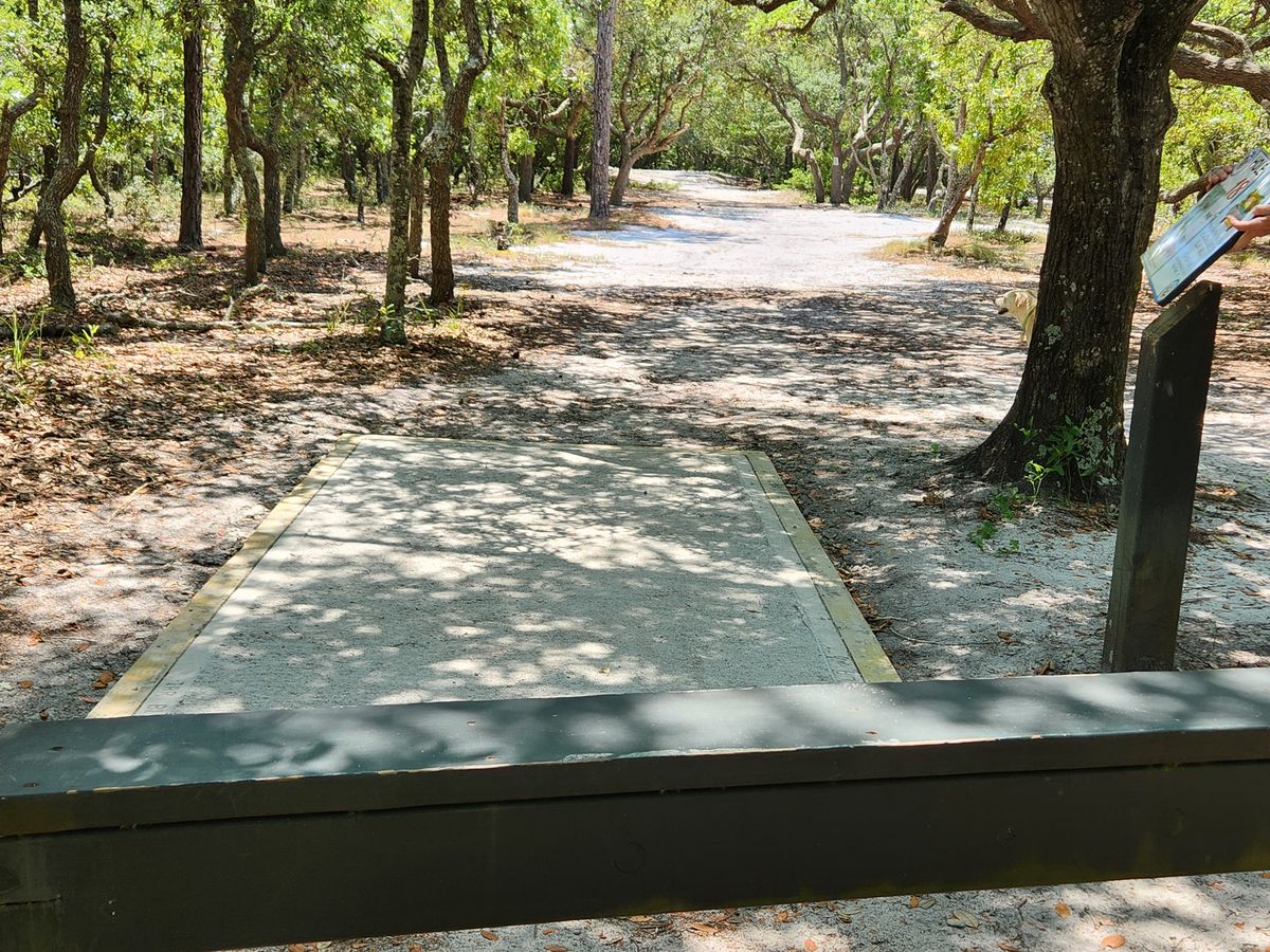 18 original tee pad