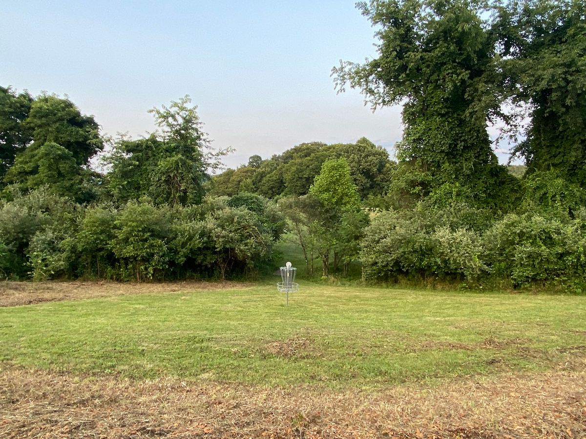Hole 7 green