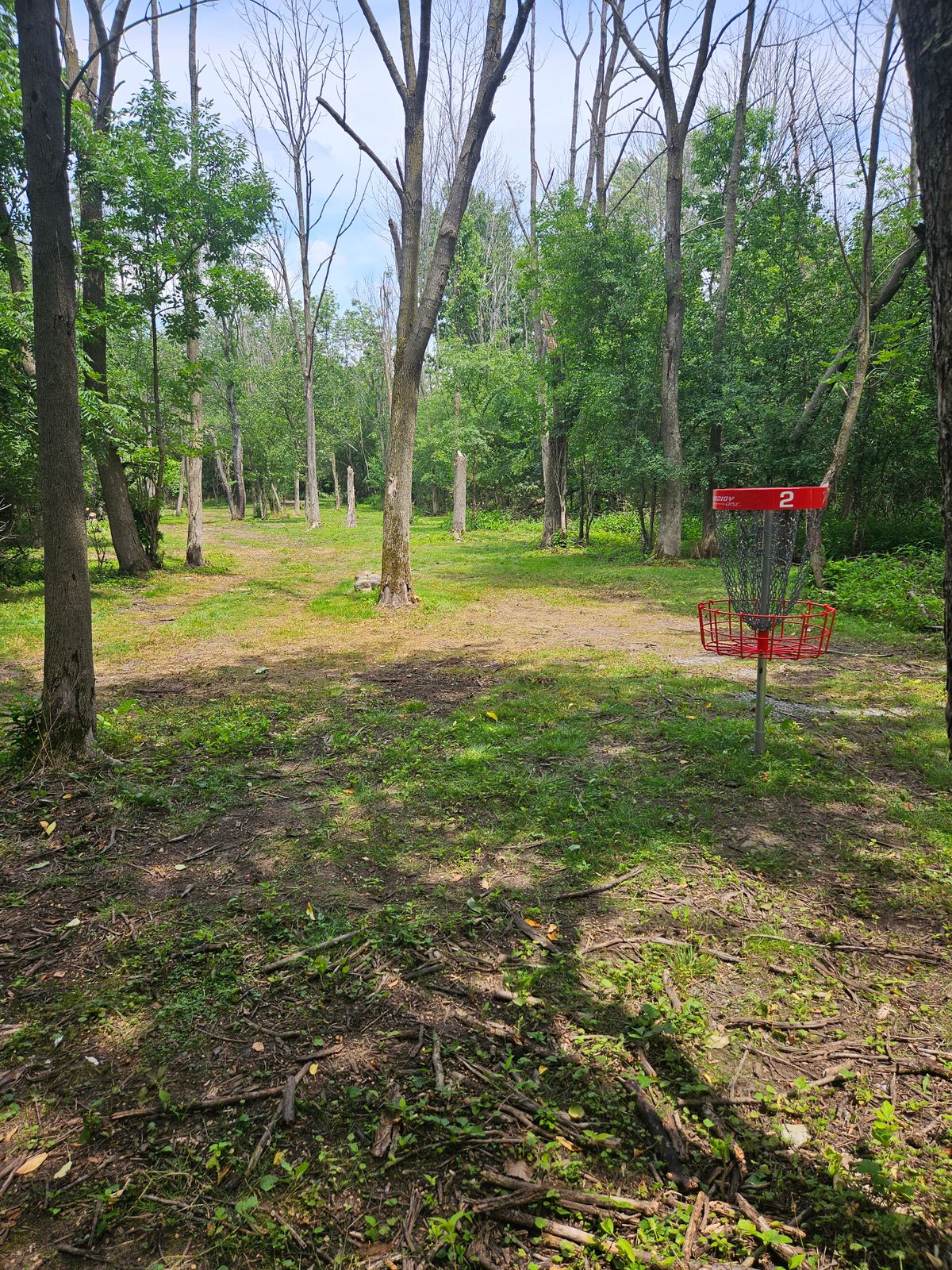 Hole 2 green, looking back towards tees