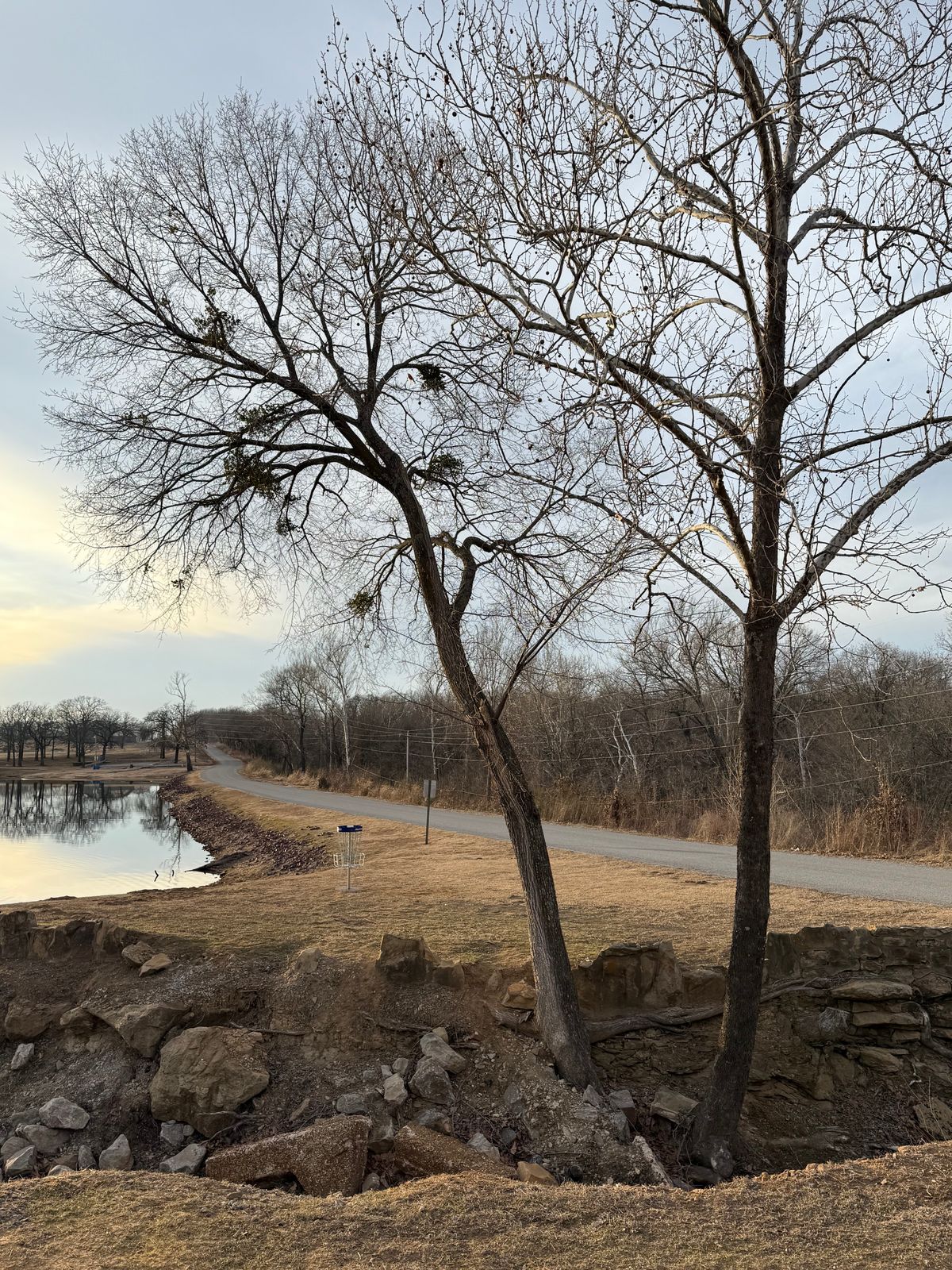 Hole 18 (Longs) basket and island