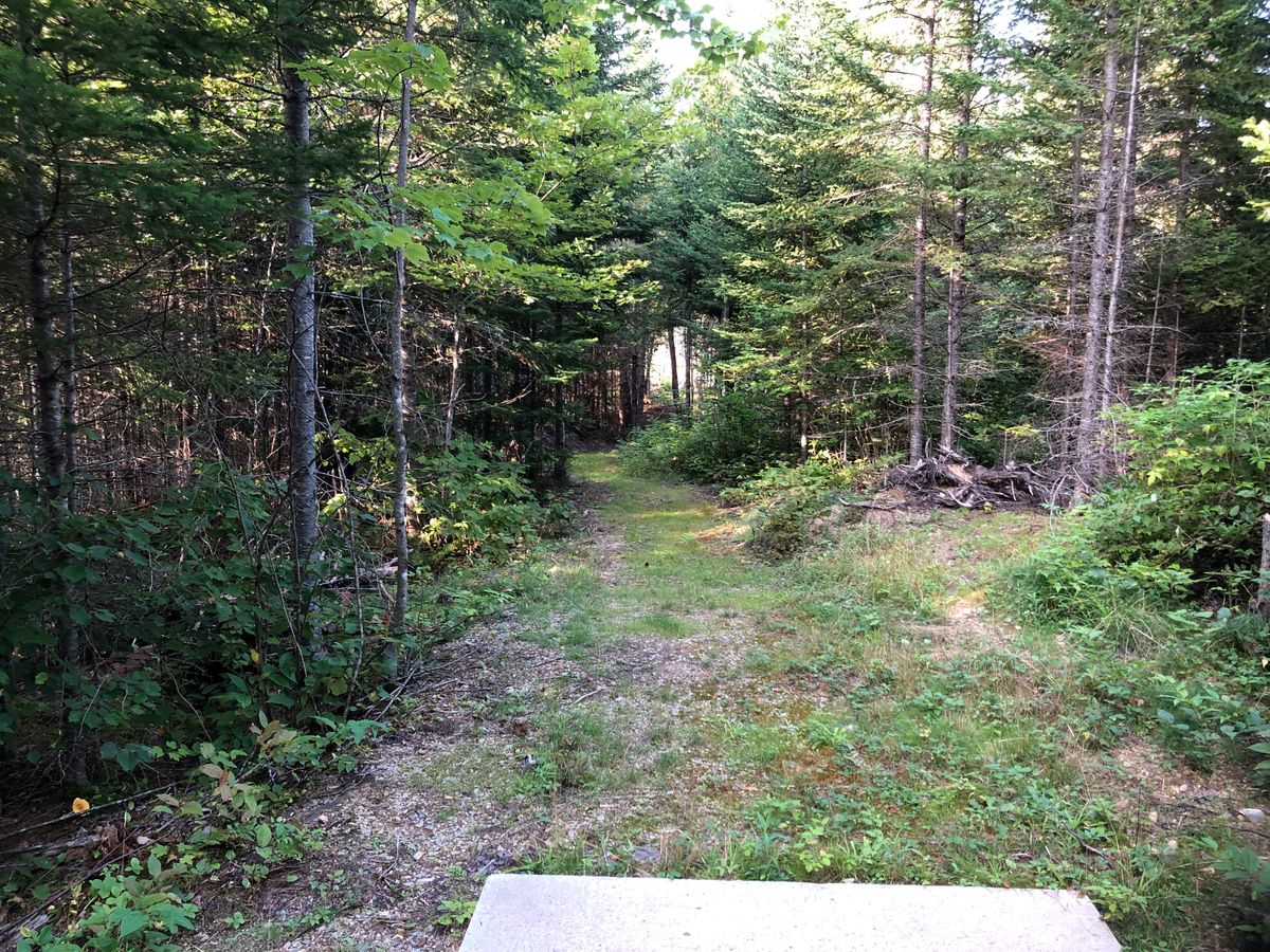 2 tee pad
