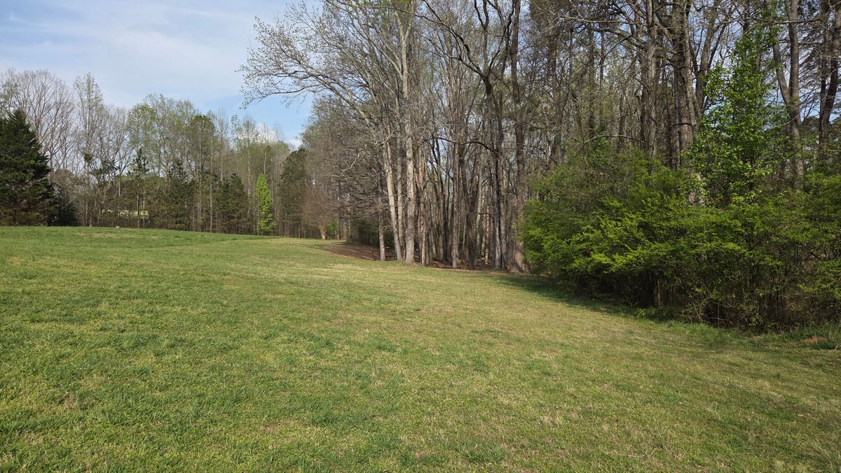 Fairway to Hole 6 Gold and Silver Baskets