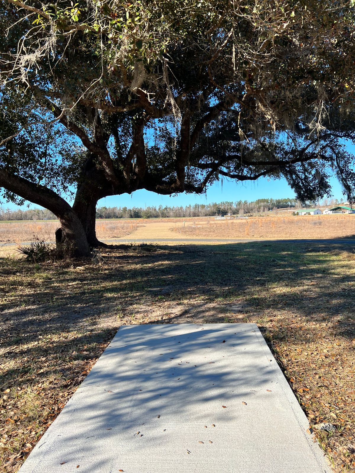 Blue Tee Hole 18