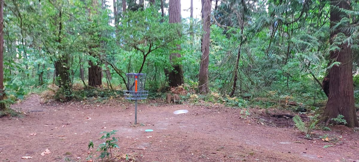 Putting on hole 2.🍀🌿🪵🍀
