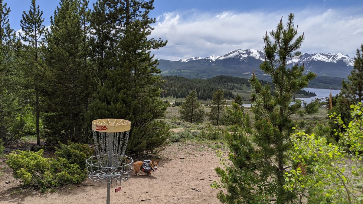 Hole #12 basket