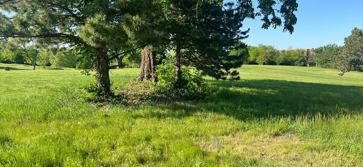 Hole 14 tee (double mando)