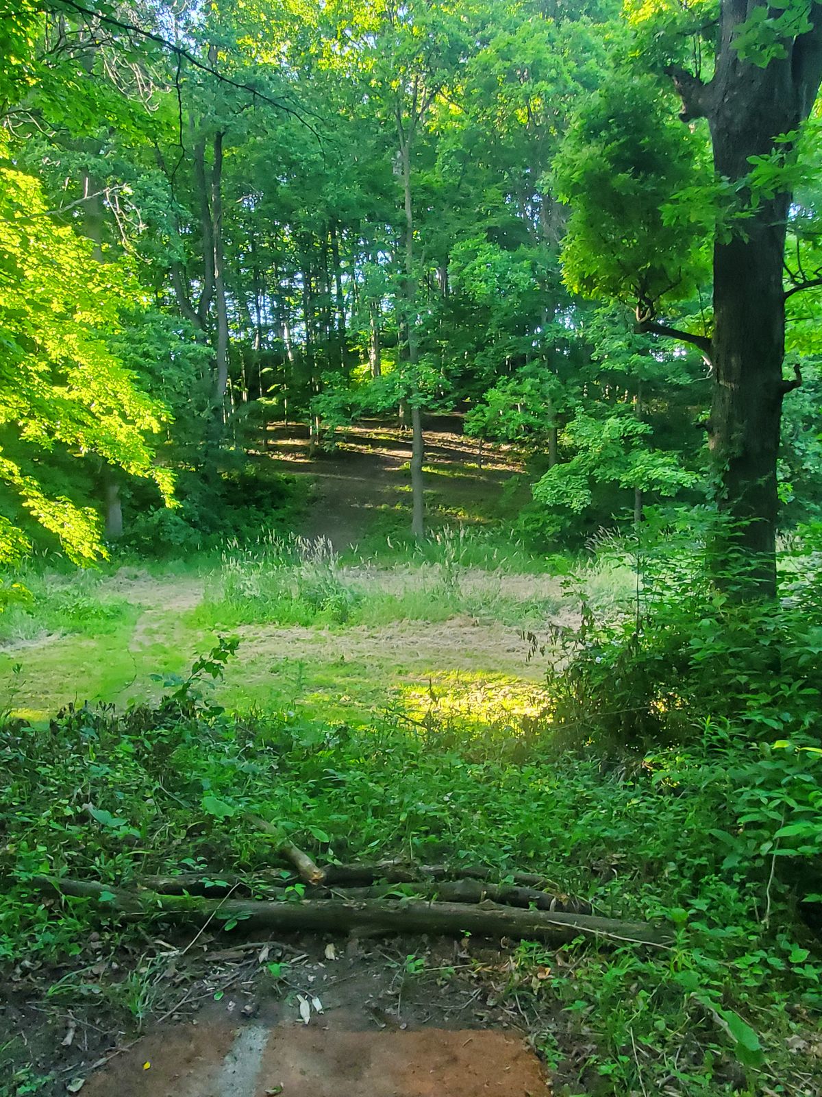 Hole 1C tee