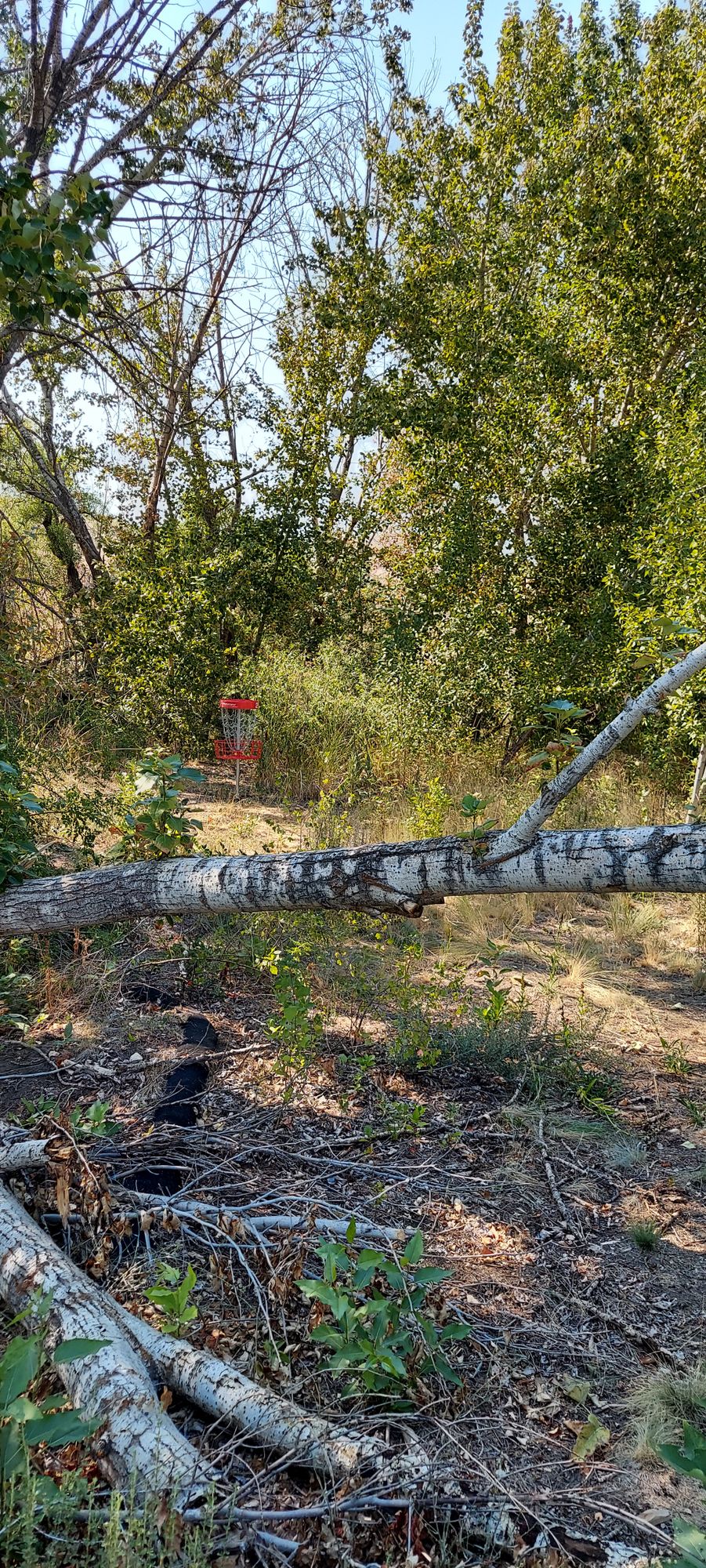Hole 2 from path