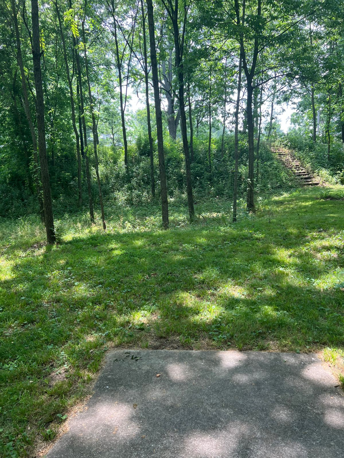 Hole 18, can you pure a super tight gap or throw the hyzer shot through the stairs gap?  Only 200' but it is a steep rise, I have seen multiple birdies on this hole but it takes a great shot for sure.   Caution: parking lot to right of basket so a shot through the stair way tunnel needs to get left.